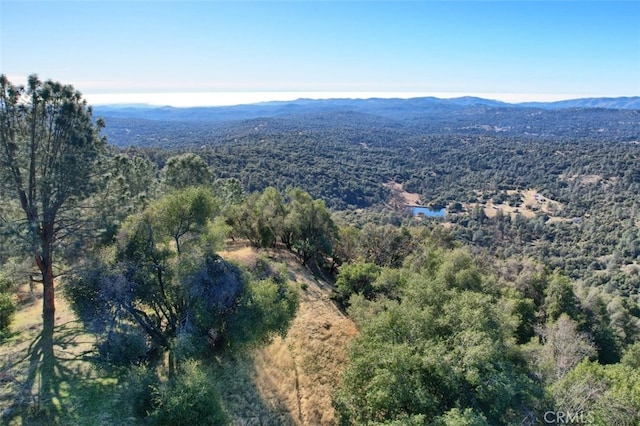 bird's eye view featuring a mountain view