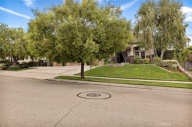 view of property hidden behind natural elements with a front lawn