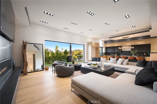 living room featuring light wood-type flooring