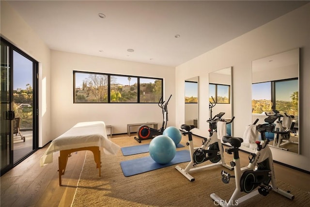 workout room featuring light hardwood / wood-style flooring