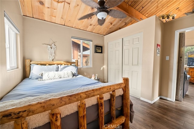 bedroom featuring multiple windows, dark hardwood / wood-style floors, and wood ceiling