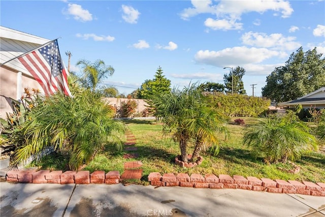 view of yard with a patio