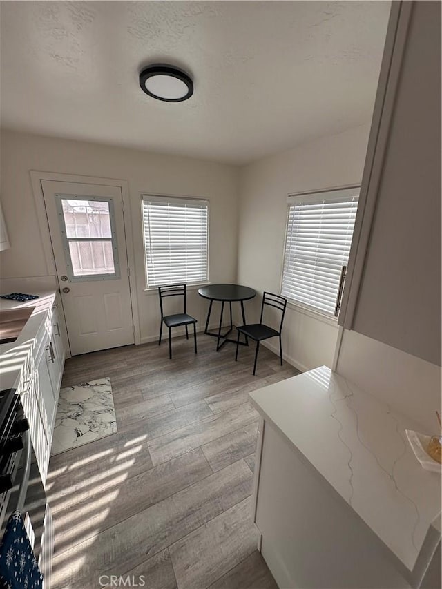 interior space featuring light hardwood / wood-style floors