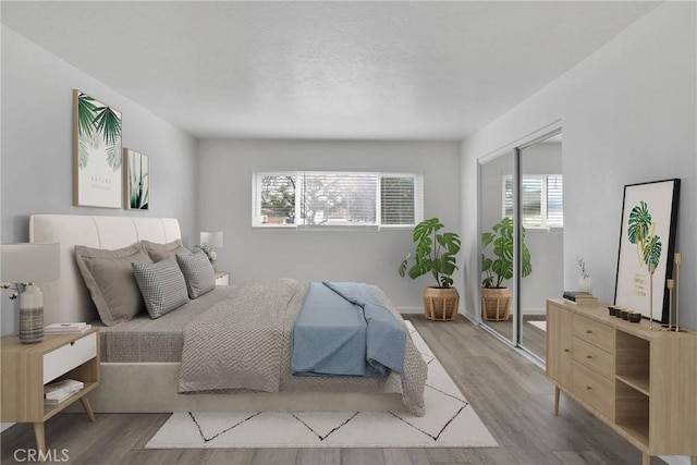 bedroom with a closet, multiple windows, and wood finished floors