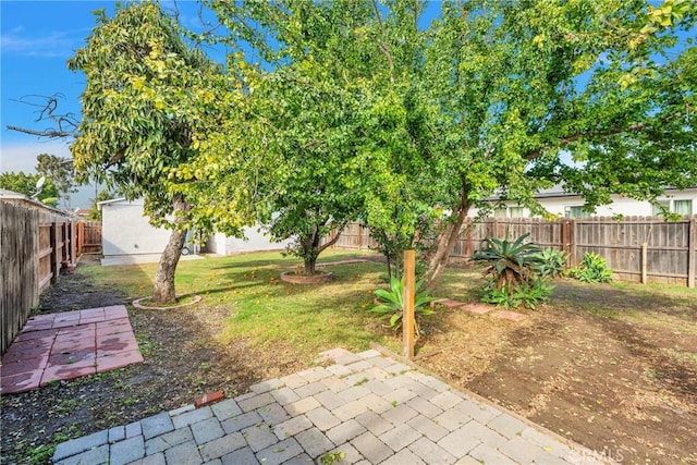 view of yard featuring a patio and a fenced backyard