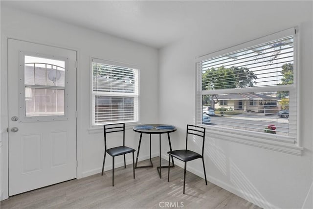 foyer entrance with light wood finished floors, a wealth of natural light, and baseboards