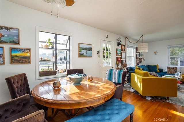 dining room featuring ceiling fan, plenty of natural light, and hardwood / wood-style floors