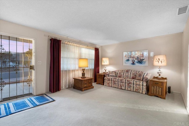 carpeted living room with a textured ceiling