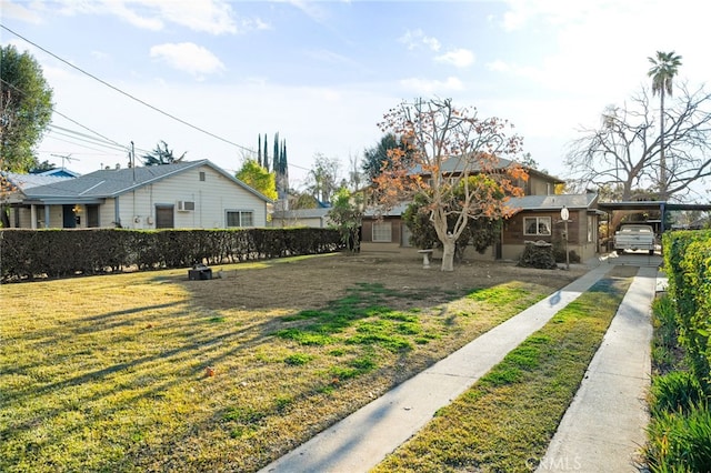 view of yard featuring a carport