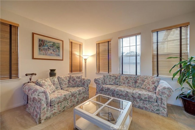 view of carpeted living room