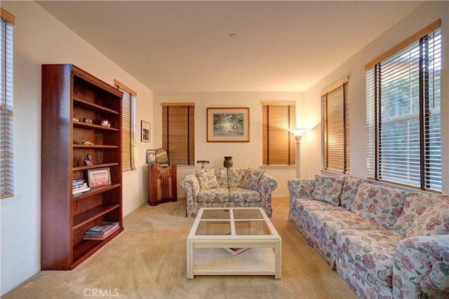 living room featuring light carpet