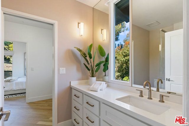 bathroom featuring vanity and hardwood / wood-style flooring