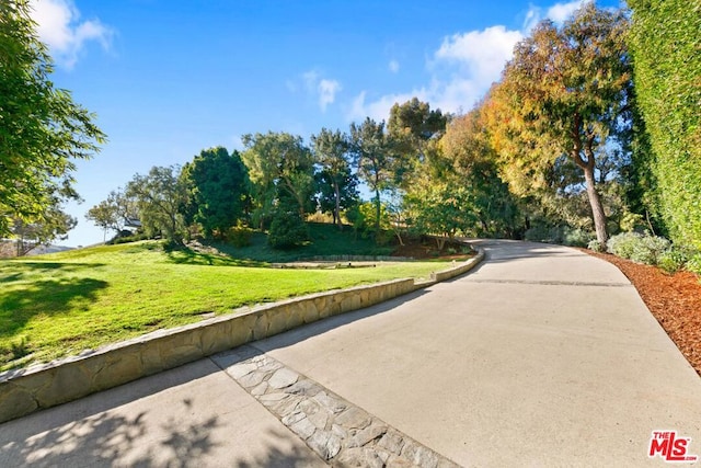 view of property's community featuring a yard