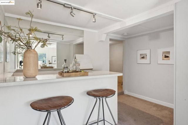 kitchen featuring rail lighting, a breakfast bar area, and carpet