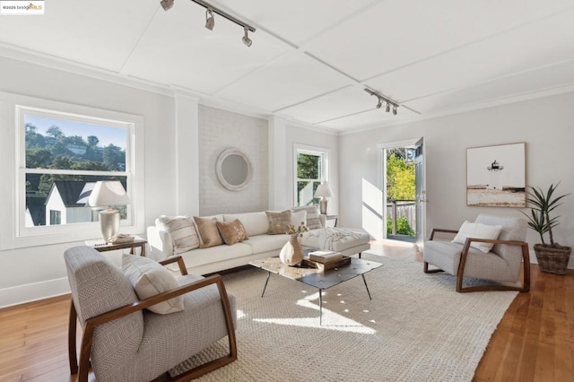 living room featuring rail lighting, a healthy amount of sunlight, and hardwood / wood-style flooring