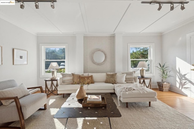 living room with hardwood / wood-style flooring, rail lighting, and ornamental molding