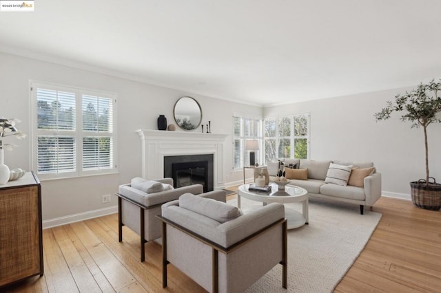 living room featuring crown molding, light wood-type flooring, and a wealth of natural light