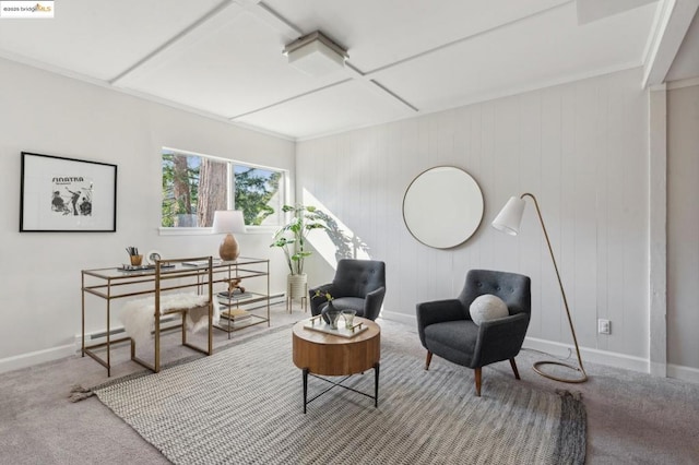 sitting room with carpet flooring and a baseboard radiator