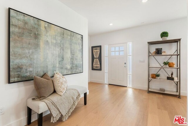 foyer entrance featuring light wood-type flooring