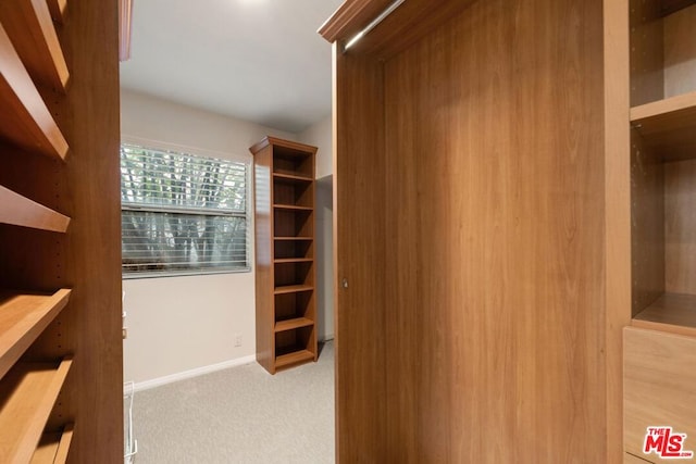 walk in closet featuring light carpet