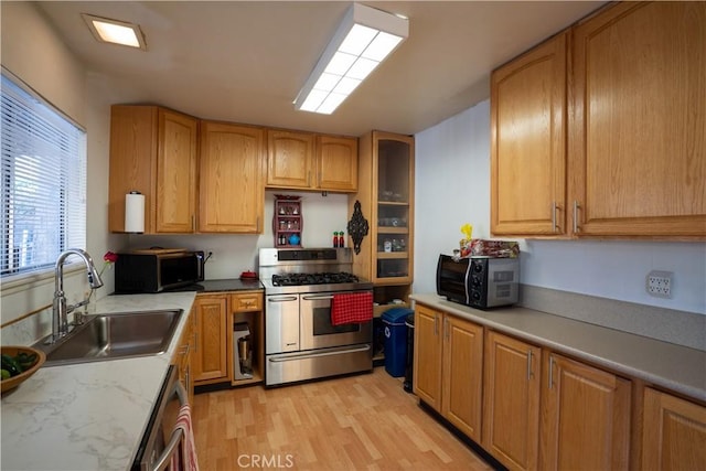 kitchen with appliances with stainless steel finishes, light hardwood / wood-style flooring, and sink