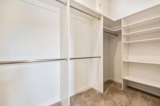 walk in closet featuring carpet flooring