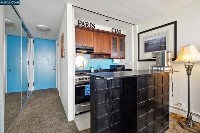 kitchen featuring carpet floors and stainless steel stove