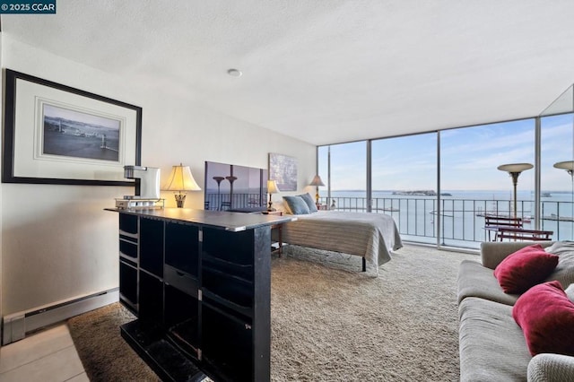 bedroom with a wall of windows and a baseboard radiator