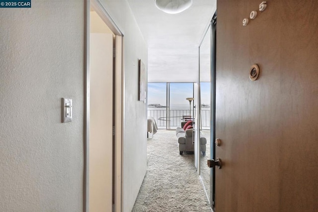 corridor featuring light carpet and expansive windows