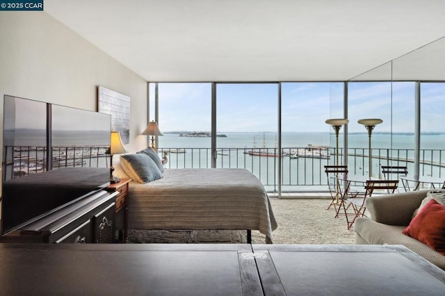 carpeted bedroom with a water view