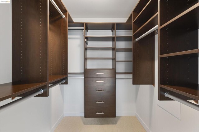 view of spacious closet