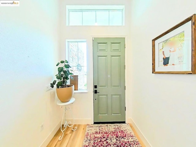 foyer entrance featuring a high ceiling and wood-type flooring