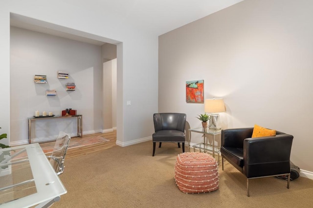 sitting room with carpet flooring