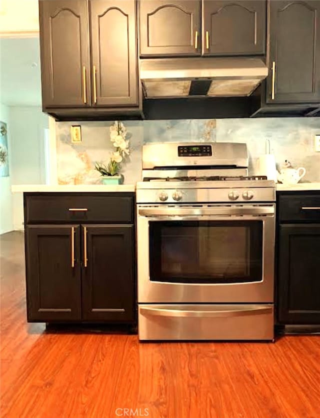 kitchen with light hardwood / wood-style floors, stainless steel stove, and tasteful backsplash