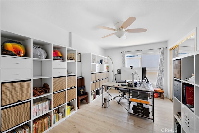 office area featuring ceiling fan and light hardwood / wood-style floors