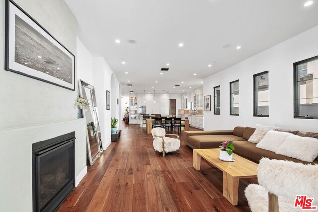 living room featuring dark hardwood / wood-style flooring