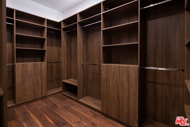 walk in closet with dark wood-type flooring