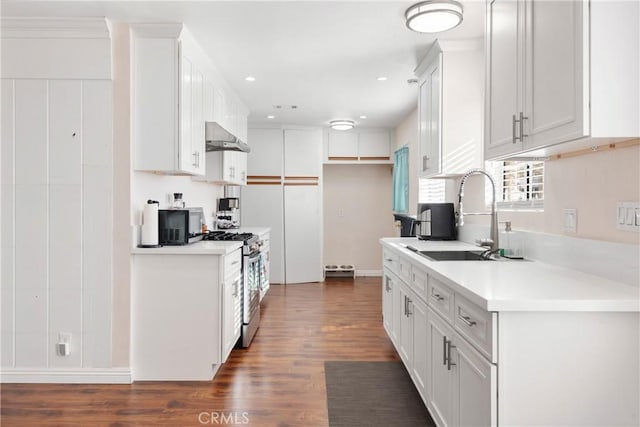 kitchen featuring stainless steel gas range, white cabinetry, ventilation hood, and sink