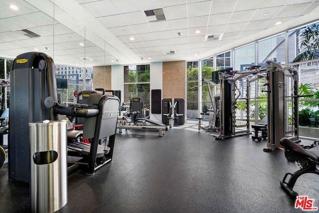 workout area with expansive windows and a paneled ceiling