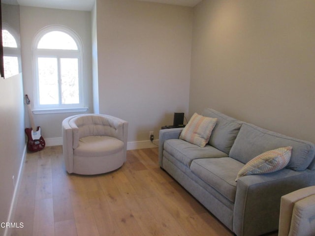 living room featuring light wood-type flooring and a wealth of natural light