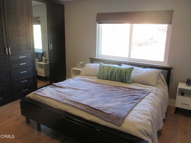 bedroom featuring wood-type flooring