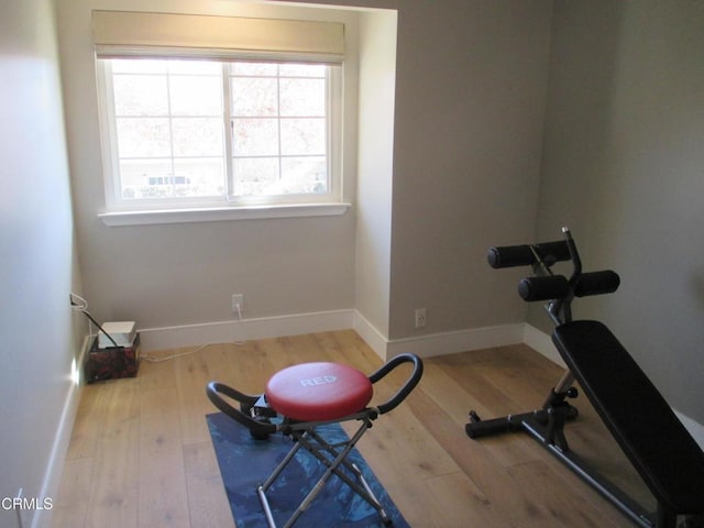 workout room featuring hardwood / wood-style flooring and a wealth of natural light