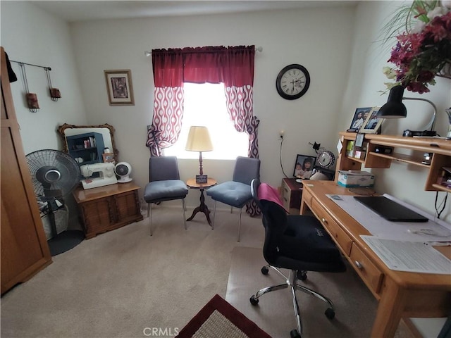 view of carpeted home office