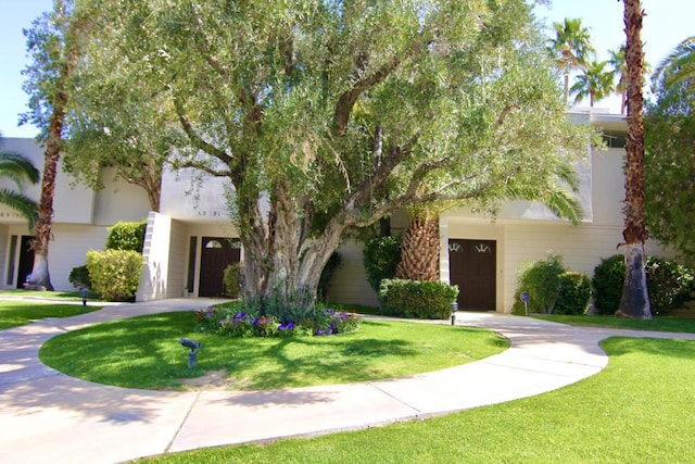 view of front of property featuring a front yard