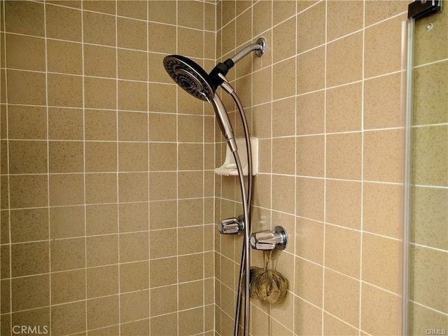 room details with a tile shower