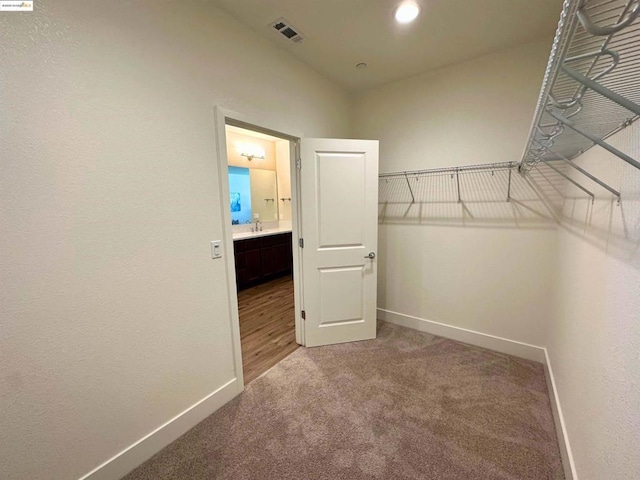 walk in closet featuring carpet floors and sink