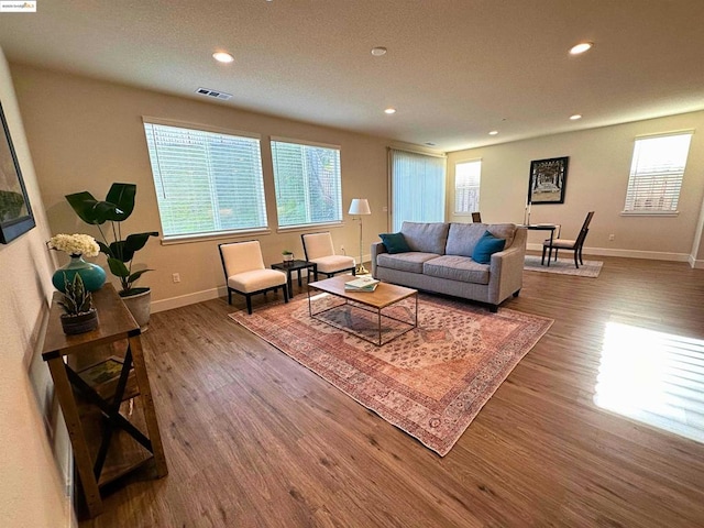 living room with hardwood / wood-style flooring