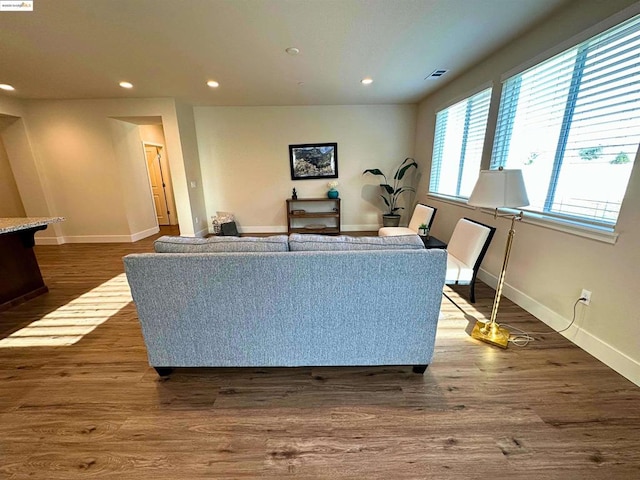 living room featuring hardwood / wood-style flooring