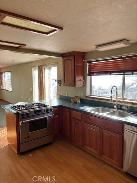 kitchen with a healthy amount of sunlight, light wood-type flooring, sink, and stainless steel appliances