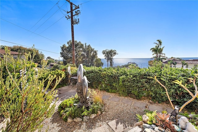 240 Moss St Unit 4, Laguna Beach, CA 92651 - view of yard